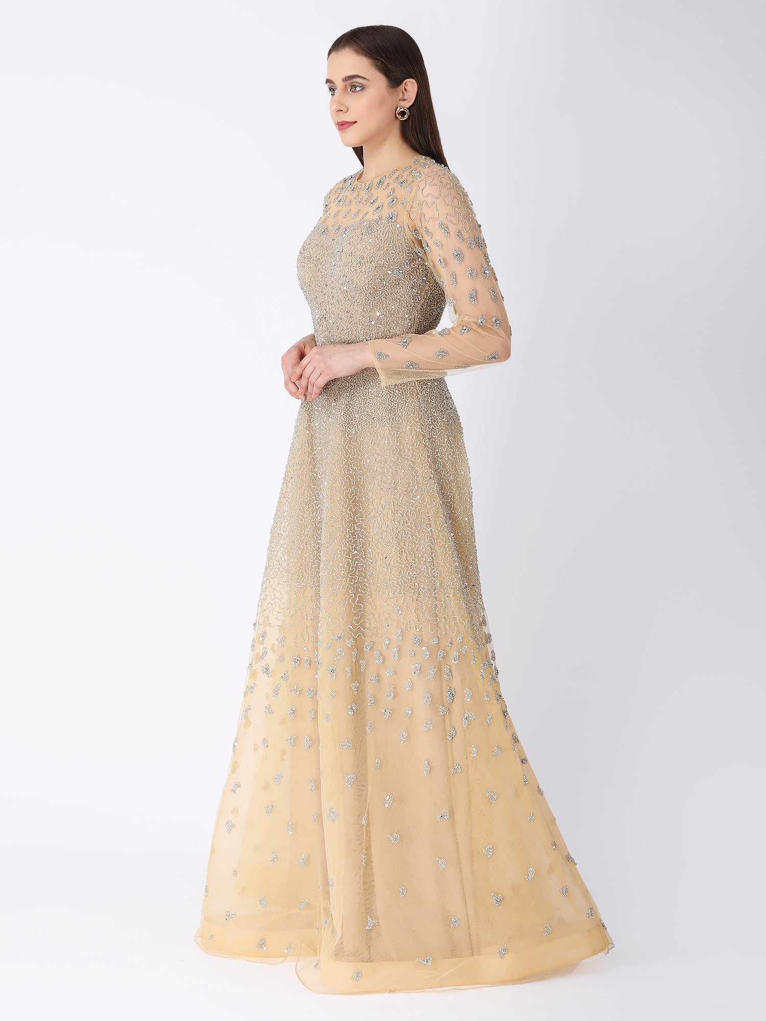 Starry Dust Beige Gown