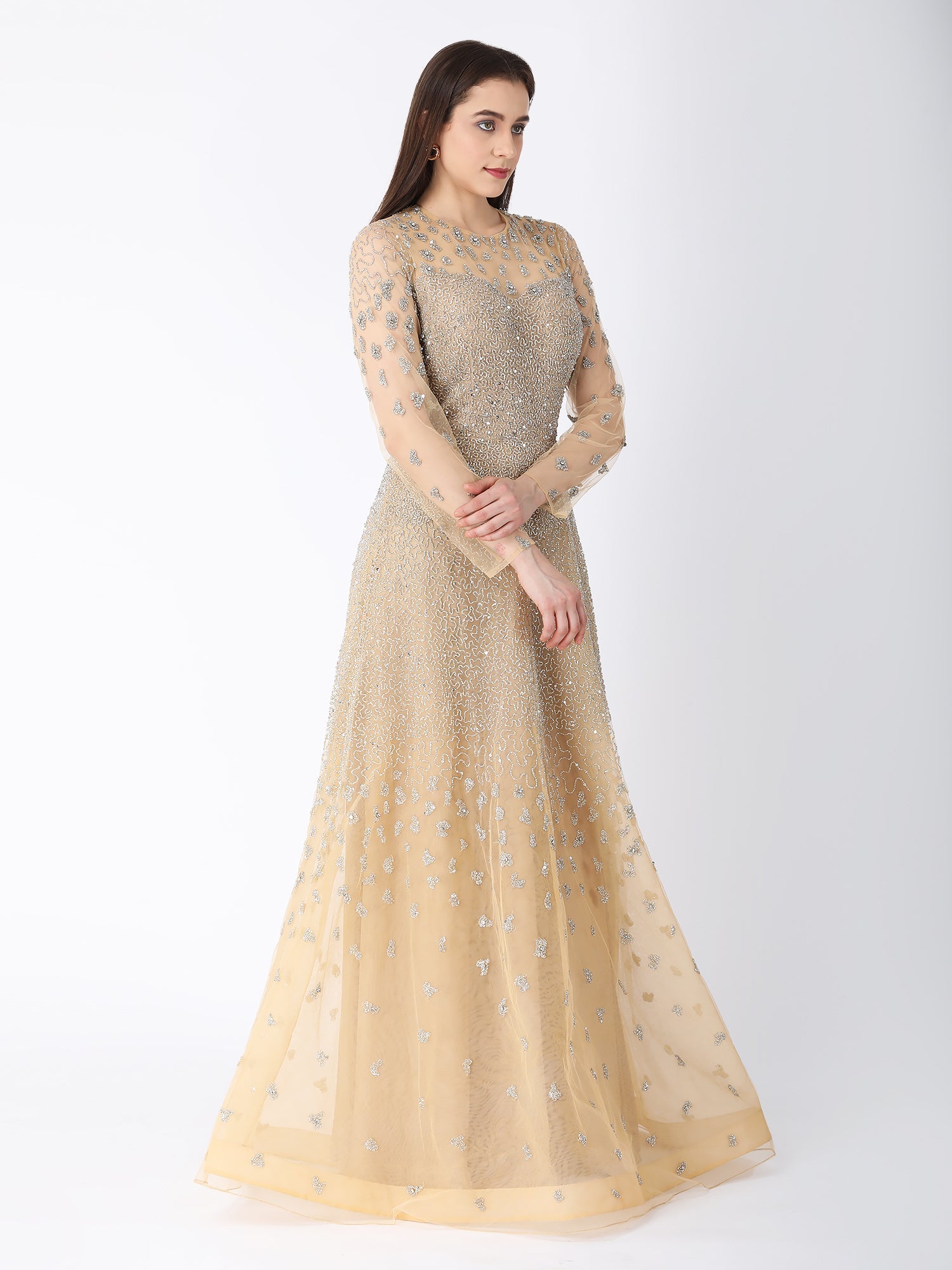 Starry Dust Beige Gown