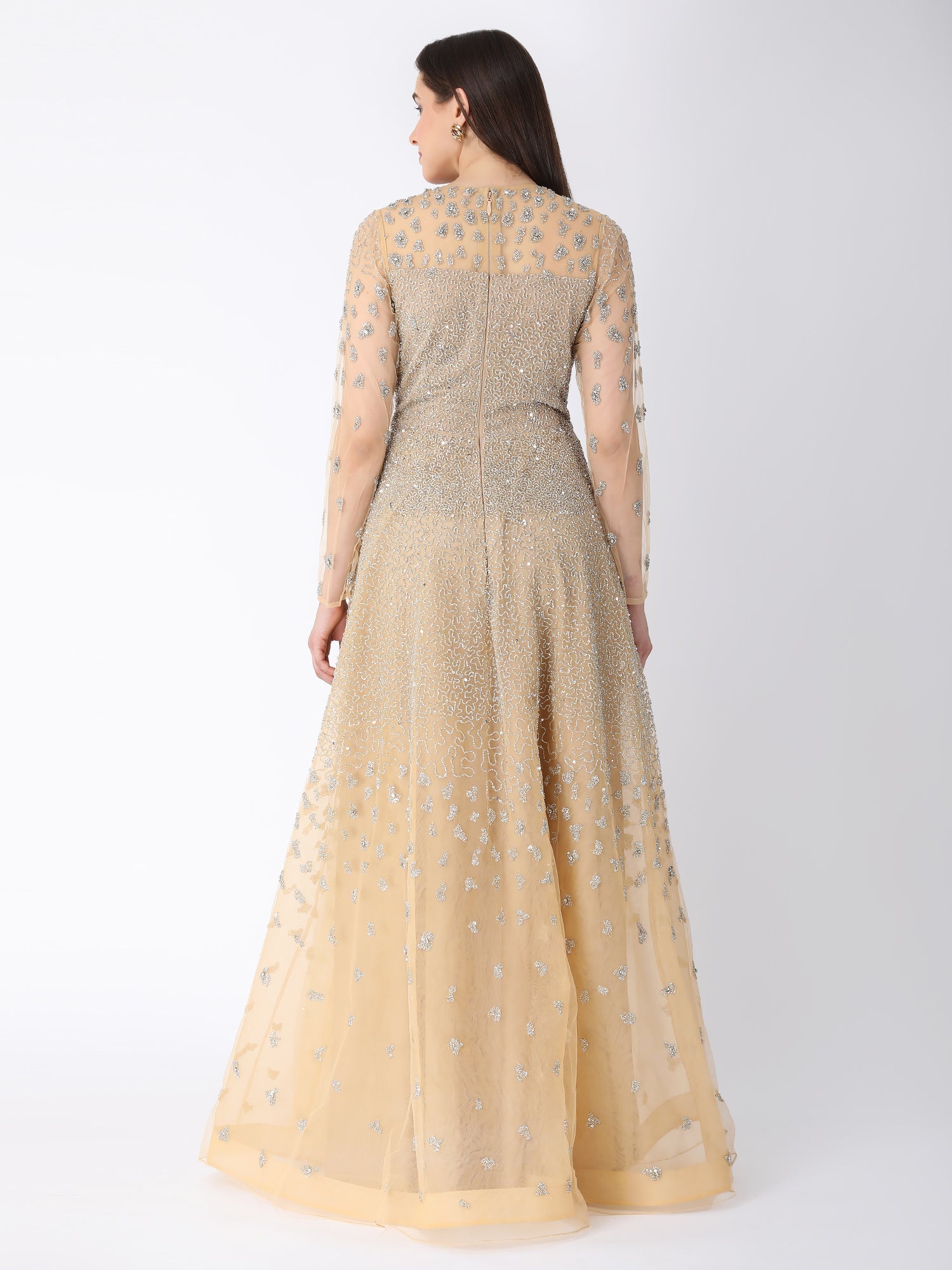 Starry Dust Beige Gown