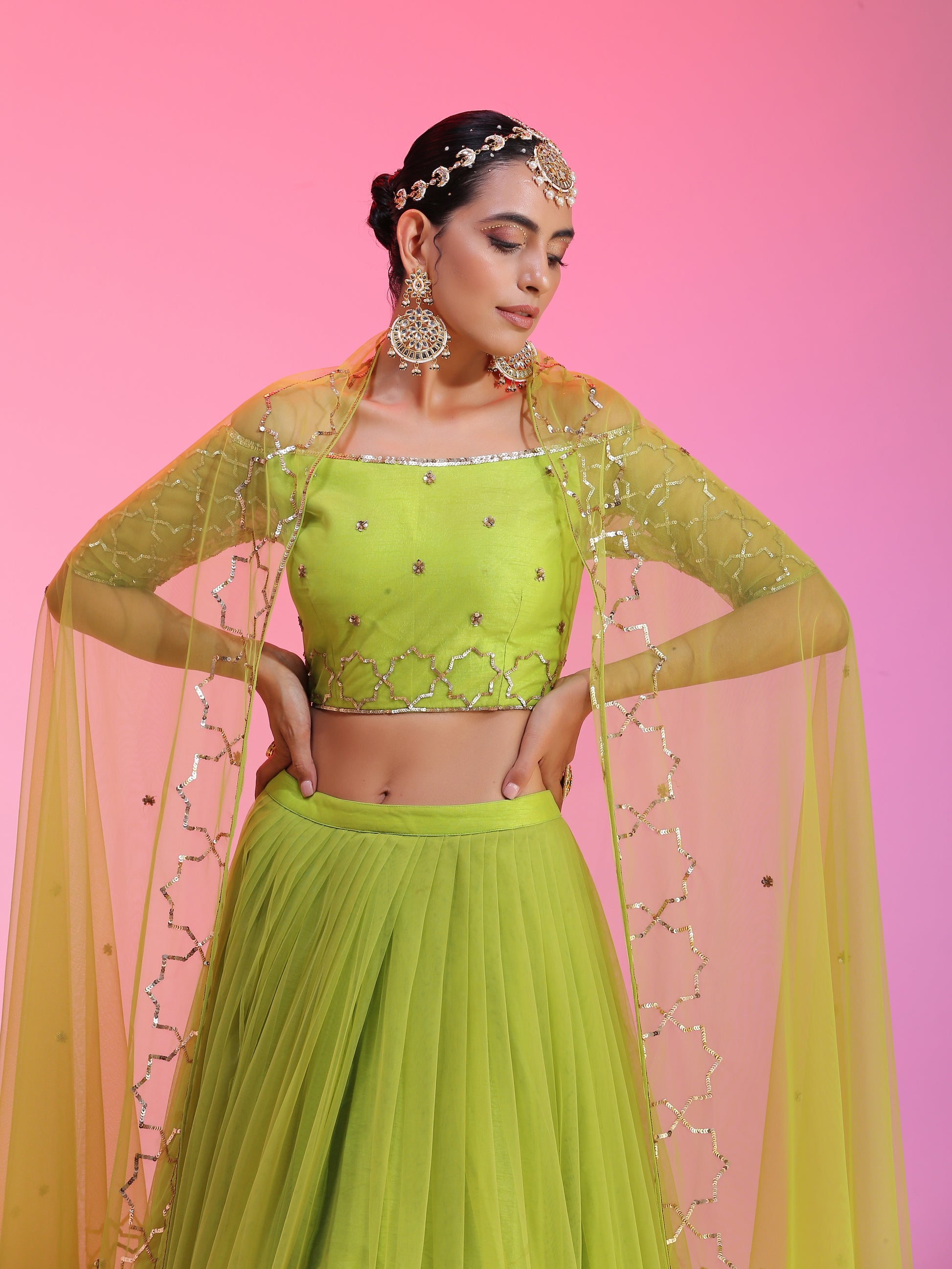 Lime sequinwork net lehenga